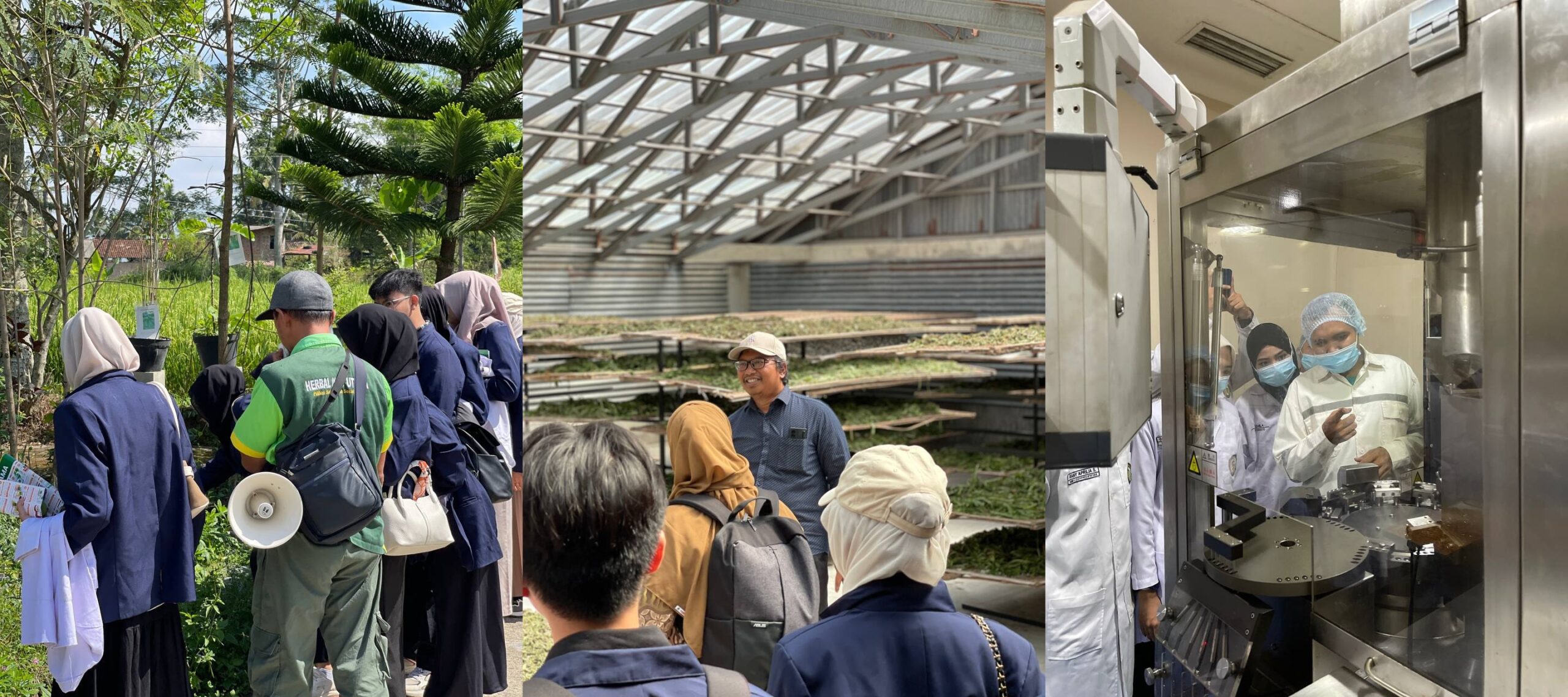 Kunjungan UMKT ke Sarana Eduwisata Kebun Herbal & Herbal Indo Utama