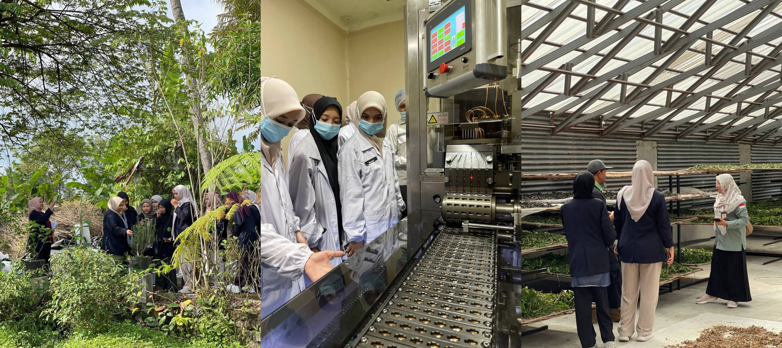 Kunjungan S1 Farmasi UNIMUGO ke Eduwisata Kebun Herbal