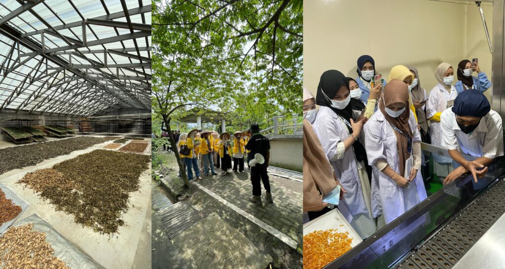 Kunjungan Industri Hari Pertama Universitas Mandala Waluya (UMW) ke Herbal Indo Utama