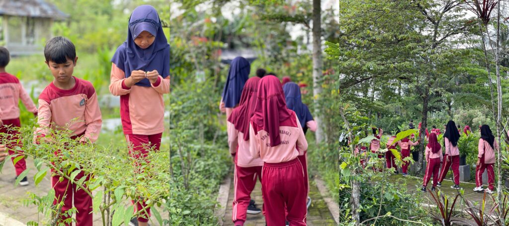 Kunjungan SD Negeri Gondowangi 1 ke Kebun Herbal